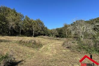  terrain lissac-sur-couze 19600