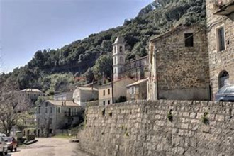  terrain loreto-di-tallano 20165