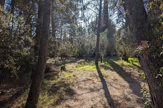  terrain lorgues 83510