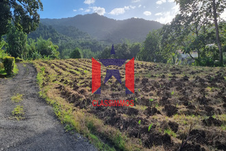  terrain lorrain 97214