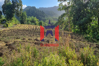  terrain lorrain 97214