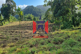  terrain lorrain 97214