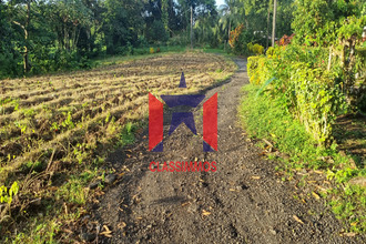  terrain lorrain 97214