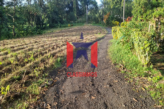  terrain lorrain 97214