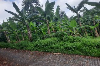  terrain lorrain 97214