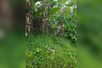  terrain lorrain 97214