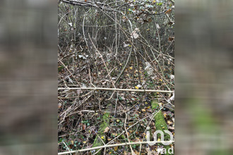  terrain lorry-les-metz 57050