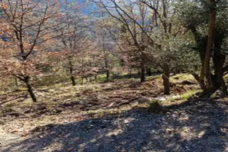  terrain luceram 06440