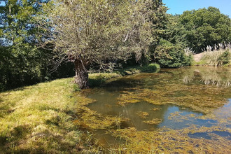  terrain lureuil 36220
