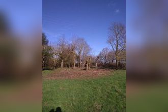  terrain lussac-les-chateaux 86320