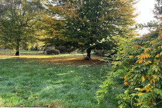  terrain maffliers 95560