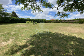  terrain maille 37800