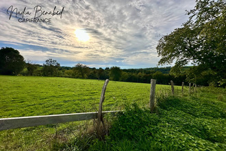  terrain maizilly 42750