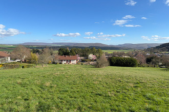  terrain malain 21410