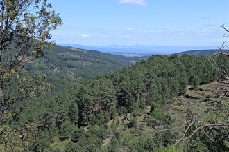  terrain malbosc 07140