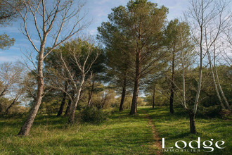  terrain mallemort 13370