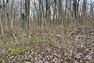  terrain malroy 57640