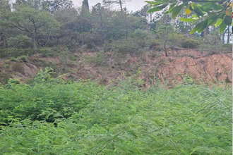  terrain mandelieu-la-napoule 06210