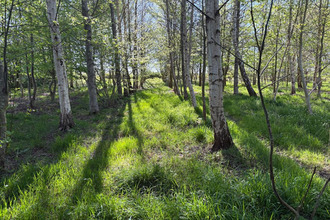  terrain marcille-raoul 35560