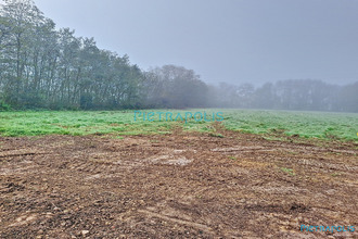  terrain marlieux 01240