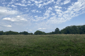  terrain masleon 87130