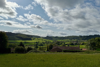  terrain matour 71520