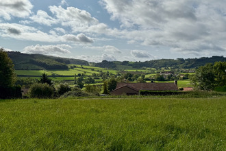  terrain matour 71520