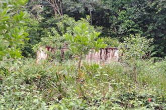  terrain matoury 97351