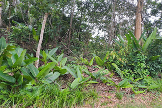  terrain matoury 97351