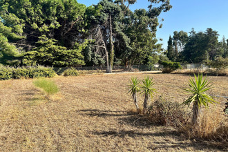  terrain maureillas-las-illas 66480