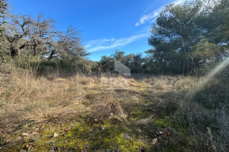  terrain mazan 84380
