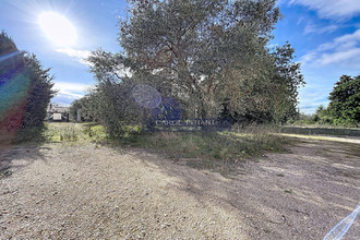  terrain mazan 84380