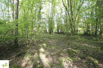  terrain melleroy 45220