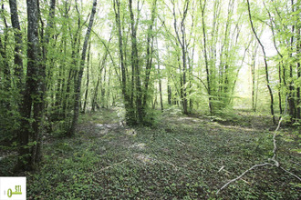  terrain melleroy 45220