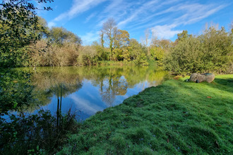  terrain meneac 56490