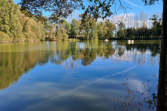  terrain meneac 56490