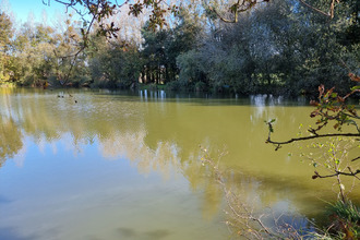  terrain meneac 56490