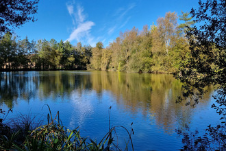  terrain meneac 56490