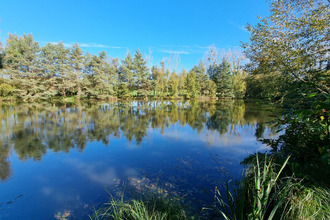  terrain meneac 56490