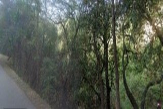  terrain menton 06500