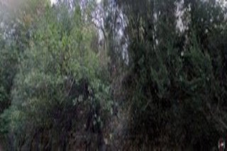  terrain menton 06500