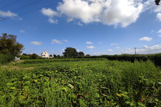  terrain merville-franceville-plage 14810
