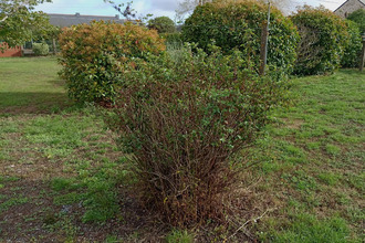  terrain mesanger 44522