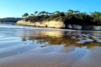  terrain meschers-sur-gironde 17132