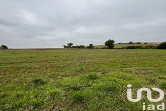  terrain messon 10190