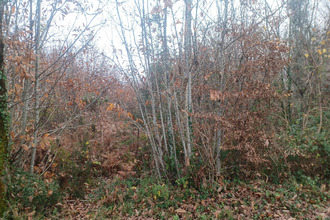  terrain meyrals 24220