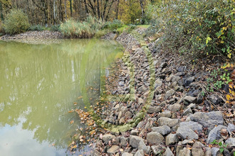  terrain mezieres-en-brenne 36290