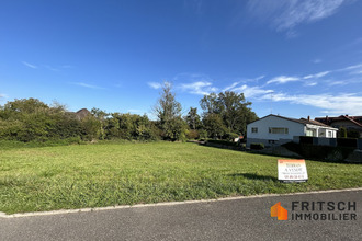  terrain michelbach-le-haut 68220