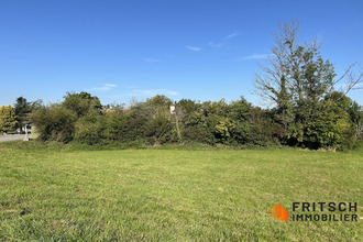  terrain michelbach-le-haut 68220