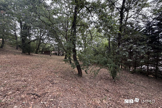  terrain miremt 31190